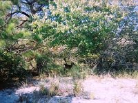 photos 2000-200901462